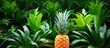 isolated background of nature a white pineapple stands out among the green plants its vibrant orange color enticing anyone craving a healthy tropical fruit for eating