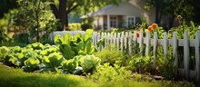 Lush Green Garden With A White Picket Fence A Wood Background Adds A Rustic Touch To The Organic Farm Where Healthy And Nutritious Vegetables Like Tomatoes Squash And Zucchini Thrive Under 