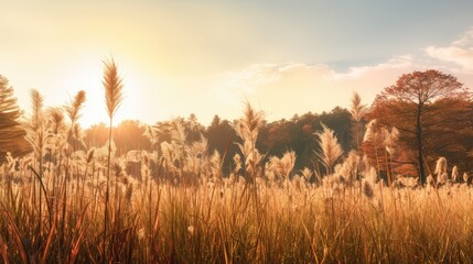 Canvas Print - summer outdoor sunlight view sunlit illustration grass beautiful, meadow bright, sky field summer outdoor sunlight view sunlit