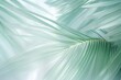 Blurry background of palm leaves, white and emerald colors