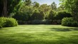 © vectorwin - green garden grass lush picturesque illustration nature summer, rural park, background field green garden grass lush picturesque