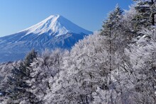 Fog And Ice On Mt. Fuji Seen From Mitsutoge , Japan,Yamanashi Prefecture,Minamitsuru District, Yamanashi,Fujikawaguchiko, Yamanashi,Nishikatsura, Yamanashi,Tsuru, Yamanashi January 2015