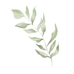 watercolor illustration of green branch with leaves
