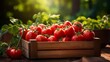 Fresh, healthy tomatoes in the vegetable and fruit box