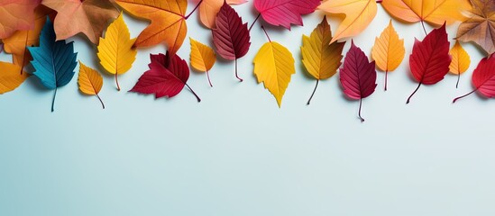 Wall Mural - Colorful autumn leaves arranged creatively in a flat lay representing the season Copy space image Place for adding text or design