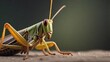 close-up portrait of a grasshopper against textured background with space for text, AI generated, background image