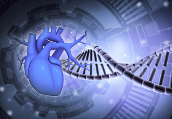 Wall Mural - Human heart with dna strand on scientific background. 3d illustration