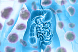 Fototapeta  - Human digestive system with virus bacteria. 3d illustration..