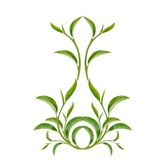 Wall Mural - Art pattern  green tea leaves on white background