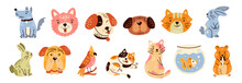 Set Of Cute Pet Animals Illustrations. 13 Cute Pet Animals Illustrations.