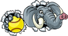 An Elephant Animal Softball Sports Team Cartoon Mascot