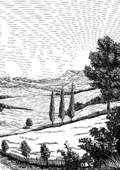 a landscape of rolling hills and sun in cloudy sky. original vintage rural farm or vineyard illustra