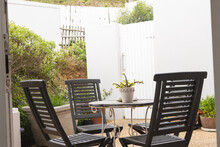 Close Up Of Table, Chairs And Plant In Sunny Garden