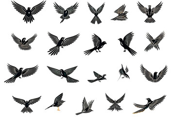 Set of flying birds. Silhouette of a bird flying on transparent background, PNG file