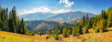 Panorama Of Mountainous Carpathian Countryside In Autumn. Forested Hills Rolling Down In To The Distant Rural Valley. Beautiful Scenery On A Sunny Day With Clouds On The Sky