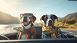 Two Happy Dogs with Bandanas and Sunglasses in Convertible Car on Sunny Day