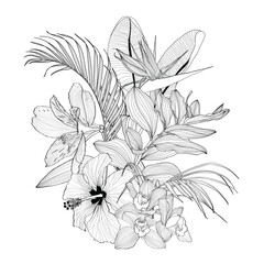 Wall Mural - Floral tropical composition. Bouquet with hand drawn tropical flowers and plants. Monochrome line illustration in sketch style.