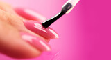 Fototapeta Na sufit - Applying Nail polish, pink shellac UV gel, varnish, nails manicure process concept in beauty salon. Transparent top coat drop on brush. Over pink background. Application of nail polish