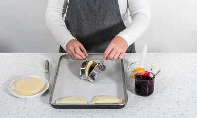 Sticker - Empanadas with Blueberries