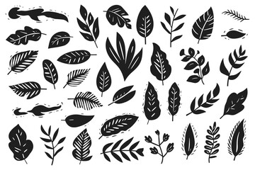 Wall Mural - Set of silhouettes of branches and leaves. Hand drawn vector botanical elements. Floral elements