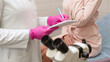 © wedmoments.stock - A female patient has a consultation with her gynecologist in a medical clinic. Women's health, colposcopy, examination of the uterus and ovaries.