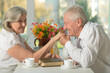 © aletia2011 - Happy elderly couple together having a dinner
