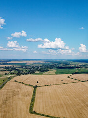 Wall Mural - Beautiful agricultural landscape, open field with blue sky and white clouds. Farmfields from a bird's eye view.