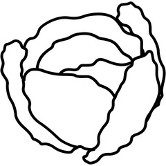 Sticker - Cabbage Icon