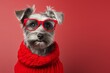 The Stylish Canine: A Dog Rocking Glasses and a Fashionable Red Sweater on a Red Background. A dog wearing glasses and a red sweater