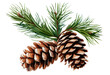Pine branch with cones on transparent background, a Christmas symbol