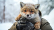 A man holds a small fox in his hands in winter
