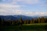 Fototapeta Do pokoju - Beautiful mountains landscape with green forest. Carpathians, Ukraine.
