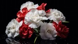 Beautiful bouquet of red and white carnations on a black background. Springtime Concept. Valentine's Day Concept with a Copy Space. Mother's Day.