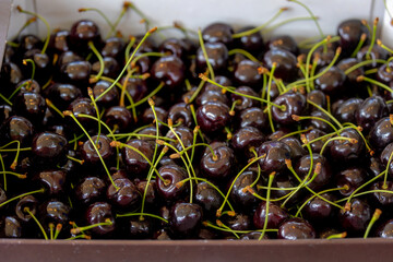 Wall Mural - Selective focus of fresh and shiny dark red cherry in the wooden boxes on the market stall, Health benefits of berries, A cherry is the fruit of many plants of the genus Prunus and is a fleshy drupe.