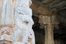 Lion Sculpture At Ancient Temple Pillar. Ancient Indian Stone Sculpture Of Yaali Carved In The Airavatesvara Temple, Darasuram, Kumbakonam, Tamilnadu.