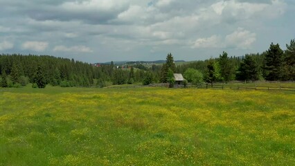 Wall Mural - Aerial view of mountains pasture in spring season with green grass, spring flower, spruce forest and mountains village.