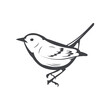 warbler Bird retro style stock vector Illustration