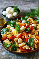 Wall Mural - Pasta with basil, mozzarella and vegetables. Close-up.