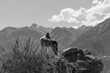 Border collie dans le canyon de Colca au Pérou