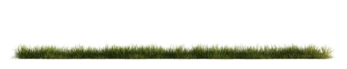 Wall Mural - Green grass isolated on transparent background. 3D render.	