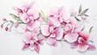 © mikhailberkut - Pink Orchids vintage botanical ornament