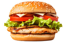Grilled Chicken Sandwich Burger Isolated -