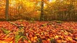 herbstlich Bäume mit goldgelben Blättern wiegen leicht im Wind - Herbststimmung, Wald, Forst, Moos, Sonnenstrahlen, Drohne

