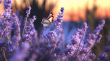 Fototapeta  - Paysage de fleurs dans un champs avec un beau papillon sur fond ensoleillé. Champêtre, nature, plante. Fond pour conception et création graphique.