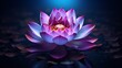 A purple lotus flower sitting on top of a body of water