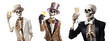 Skeleton with a glass of champagne in his hand celebrating a party, skeleton costume, bow tie and party hat, isolated or white background