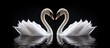 Heart shaped formation of swans