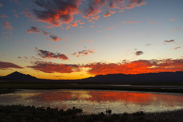Wall Mural - Red clouds and reflections off of a transient pond at dusk shown in Tecopa, California.