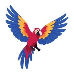 Wall Mural - colombian culture macaw