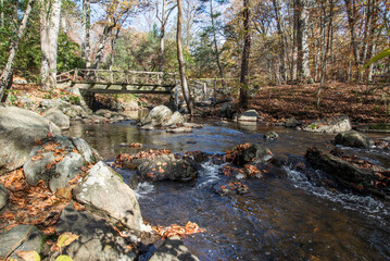 Sticker - stream in the forest